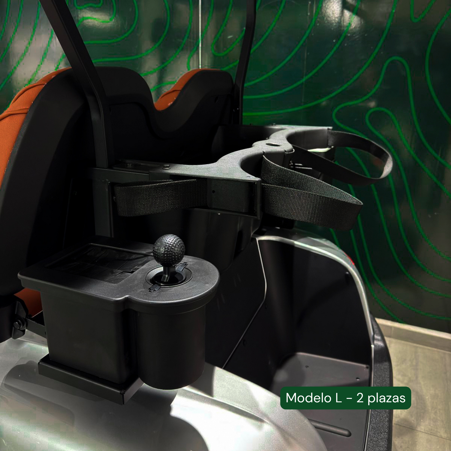 Modelo L - Carrito de Golf Eléctrico de 2, 4 y 6 Plazas