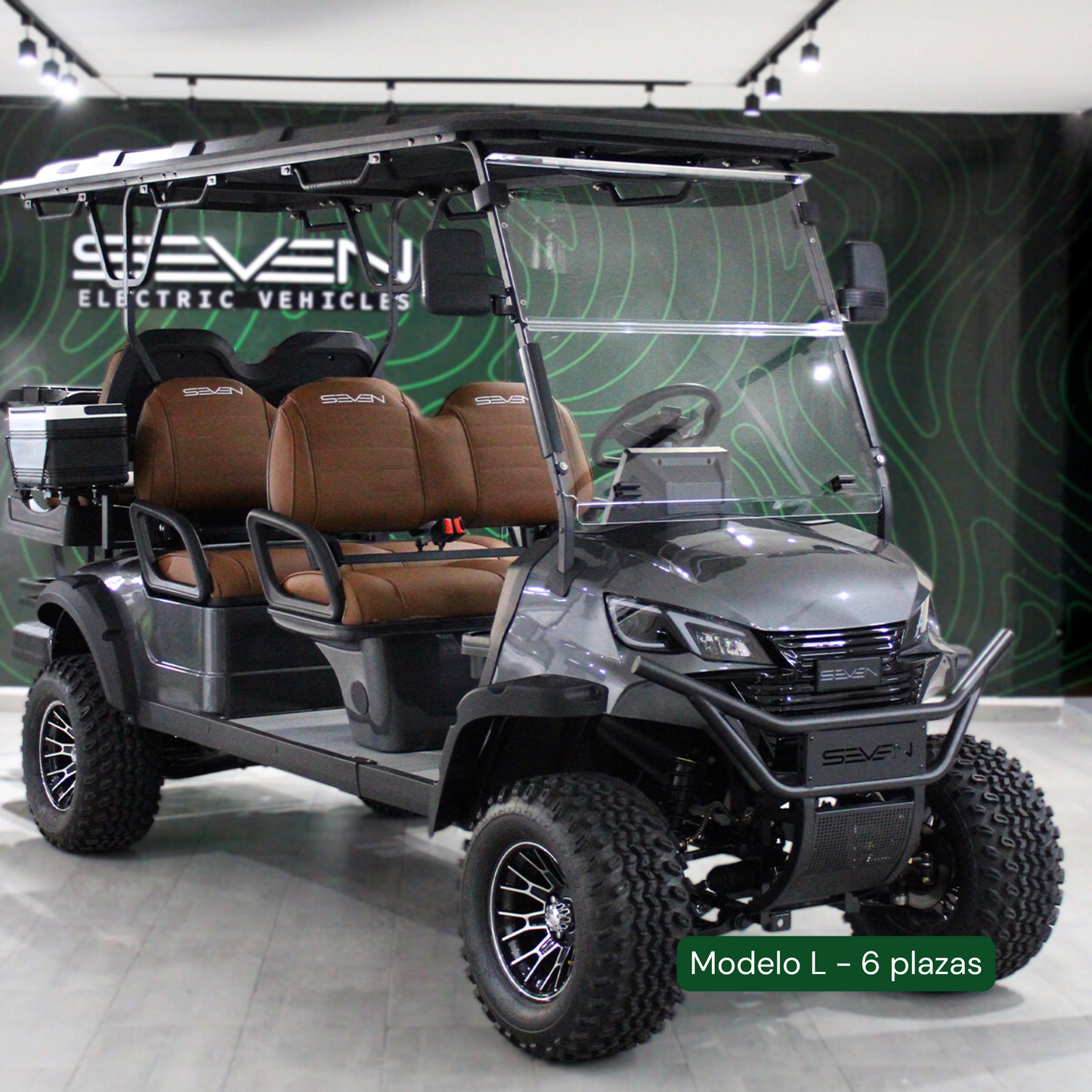 Modelo L - Carrito de Golf Eléctrico de 2, 4 y 6 Plazas