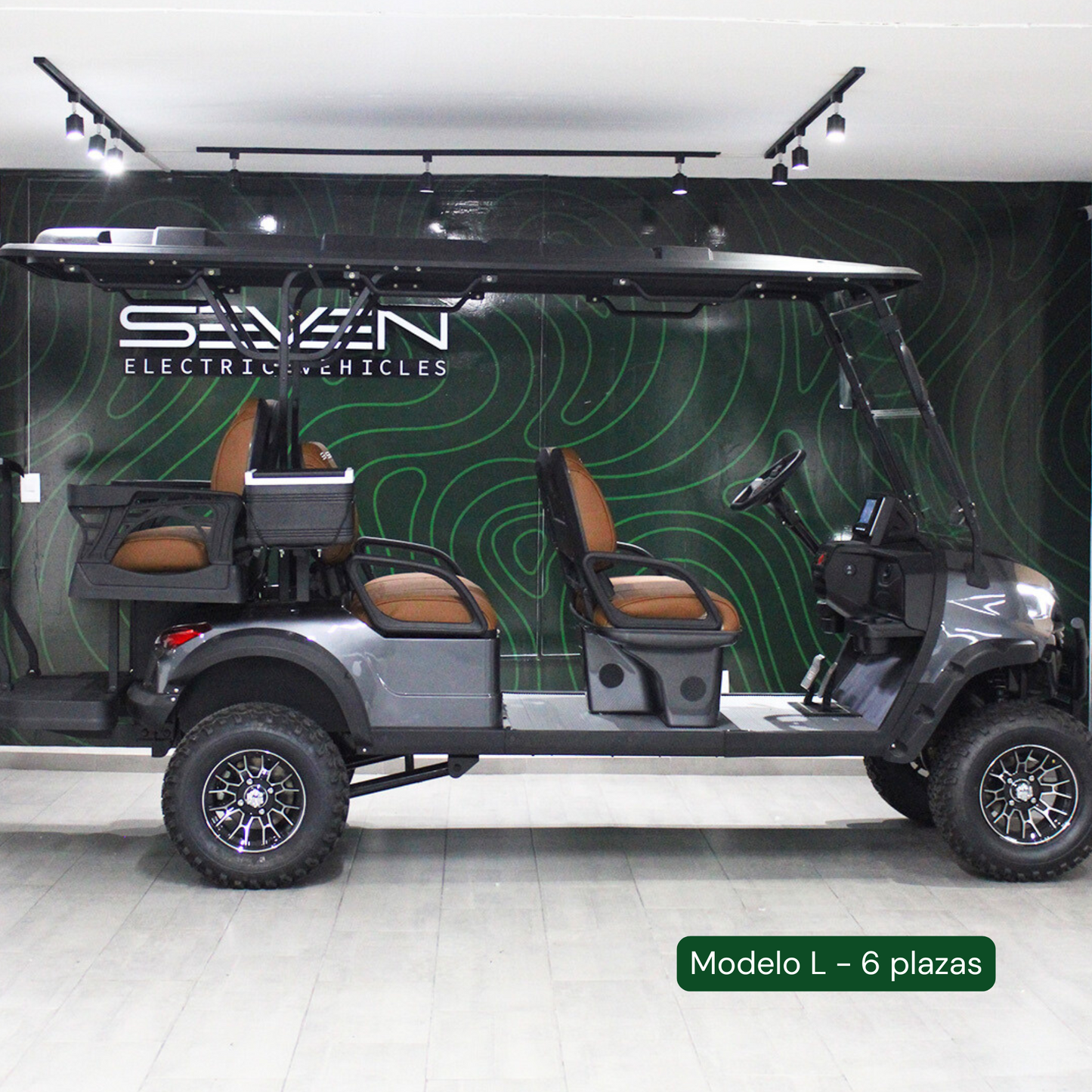 Modelo L - Carrito de Golf Eléctrico de 2, 4 y 6 Plazas