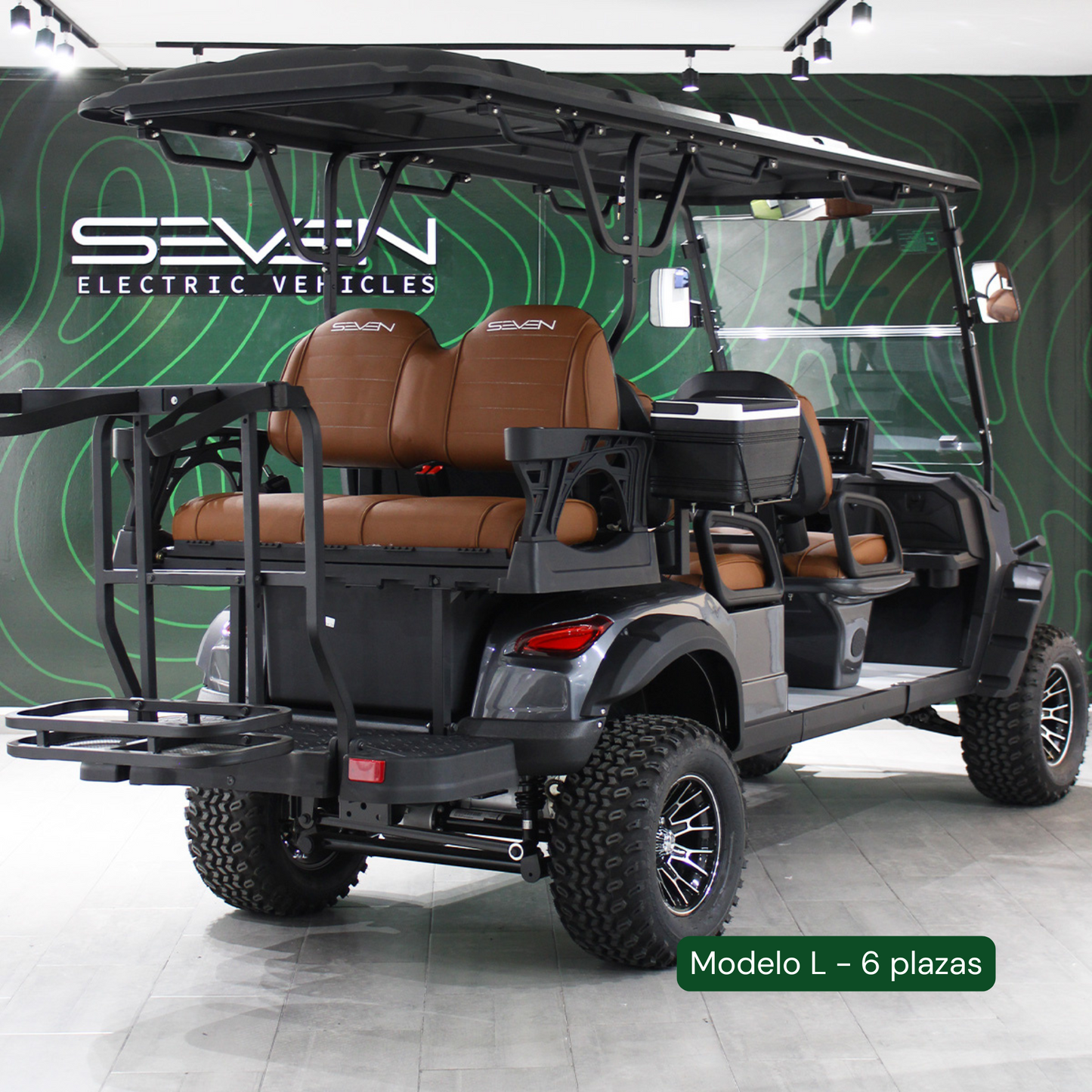 Modelo L - Carrito de Golf Eléctrico de 2, 4 y 6 Plazas
