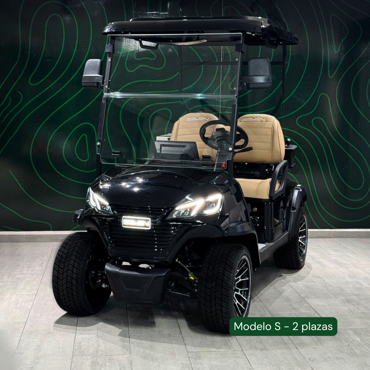 Modelo S, Carrito de Golf Elétrico de 2, 4 y 6 plazas