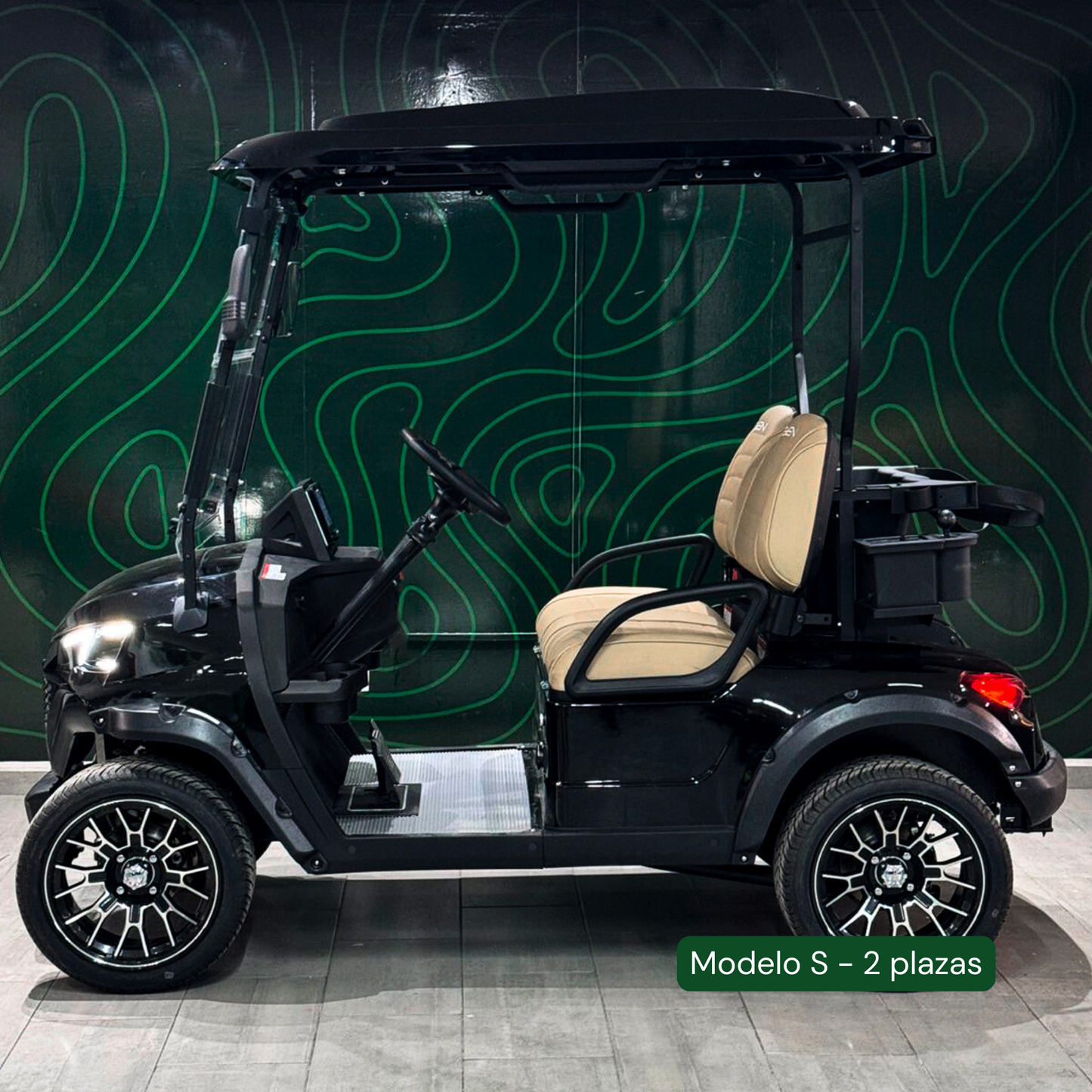 Modelo S, Carrito de Golf Elétrico de 2, 4 y 6 plazas