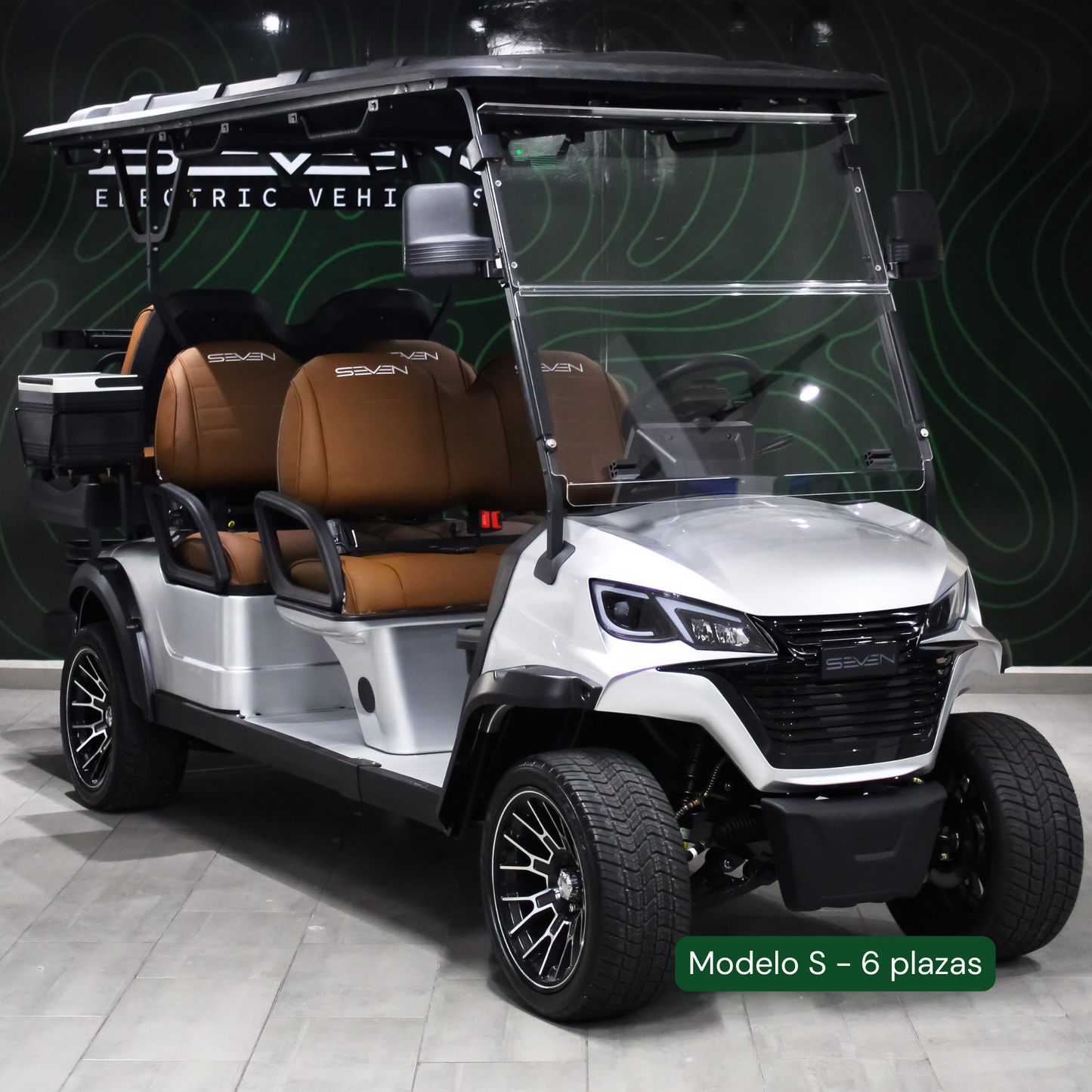 Modelo S, Carrito de Golf Elétrico de 2, 4 y 6 plazas