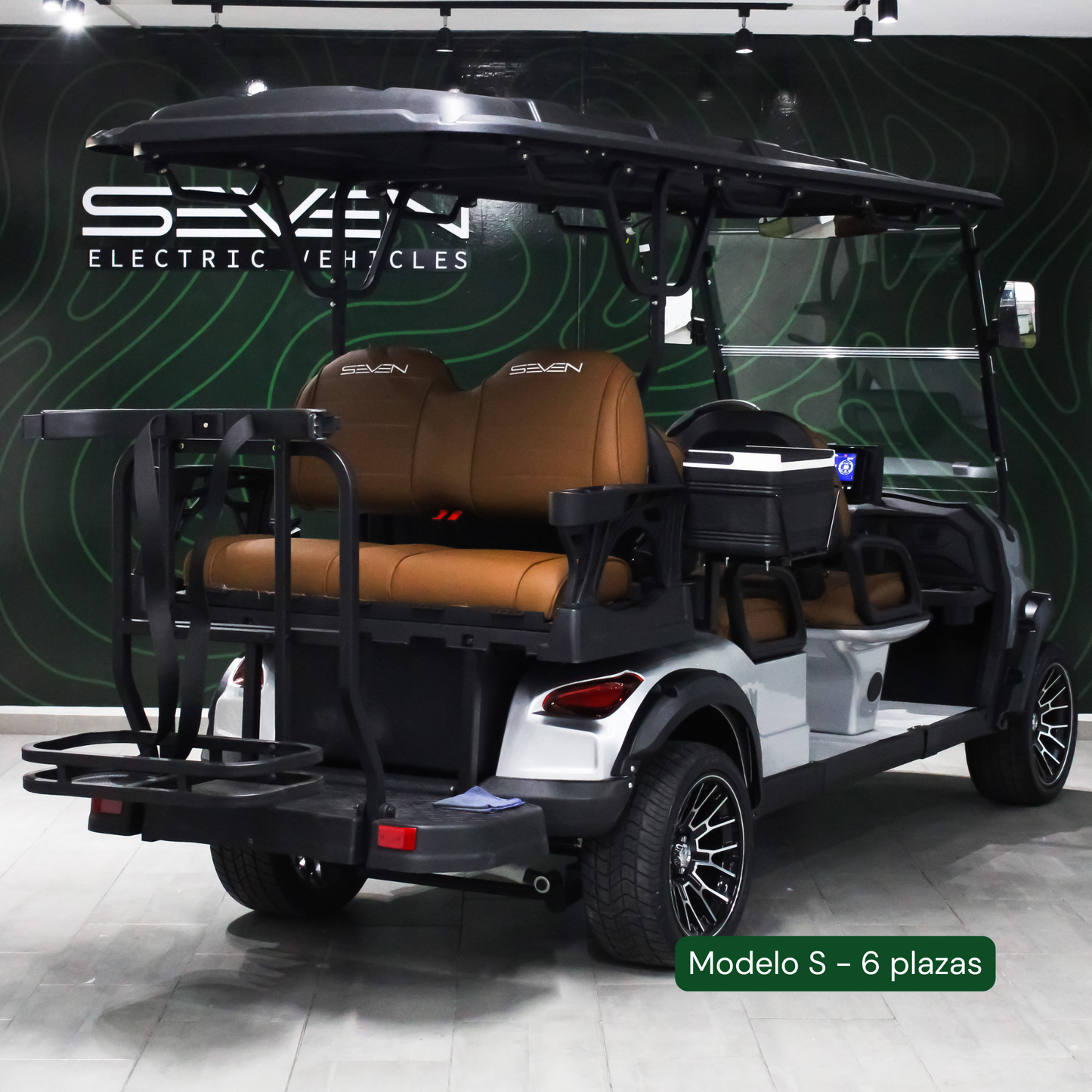 Modelo S, Carrito de Golf Elétrico de 2, 4 y 6 plazas