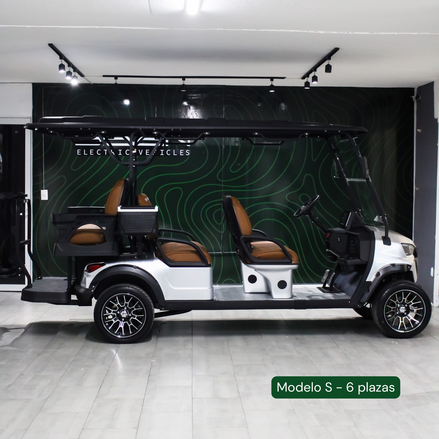 Modelo S, Carrito de Golf Elétrico de 2, 4 y 6 plazas