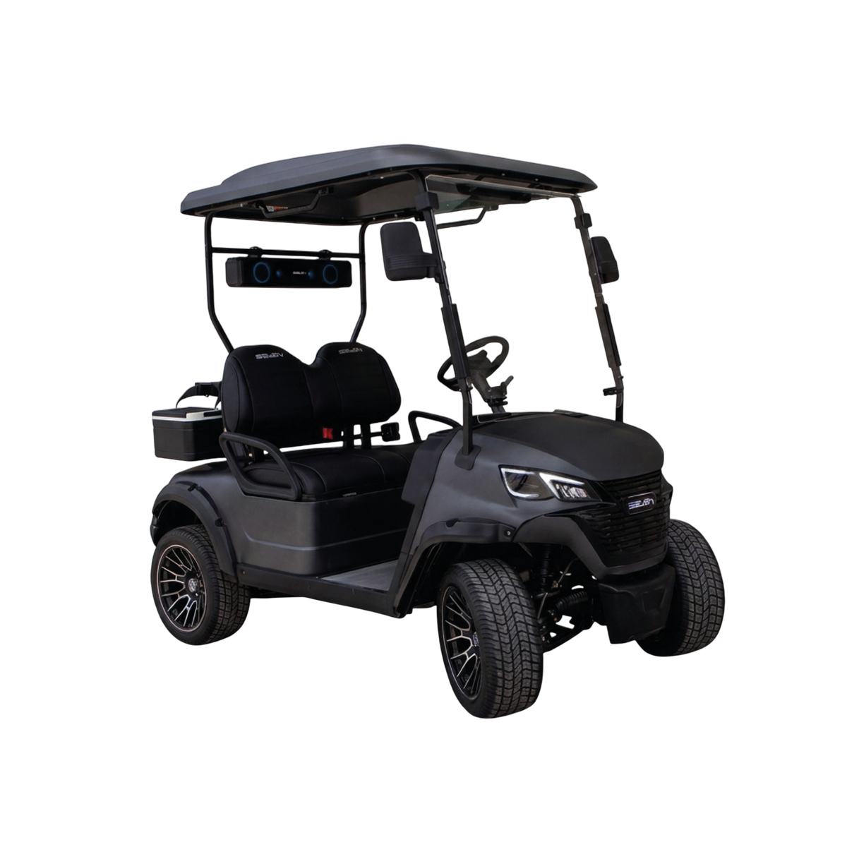 Modelo S - Carrito de Golf Eléctrico de 2, 4 y 6 Plazas