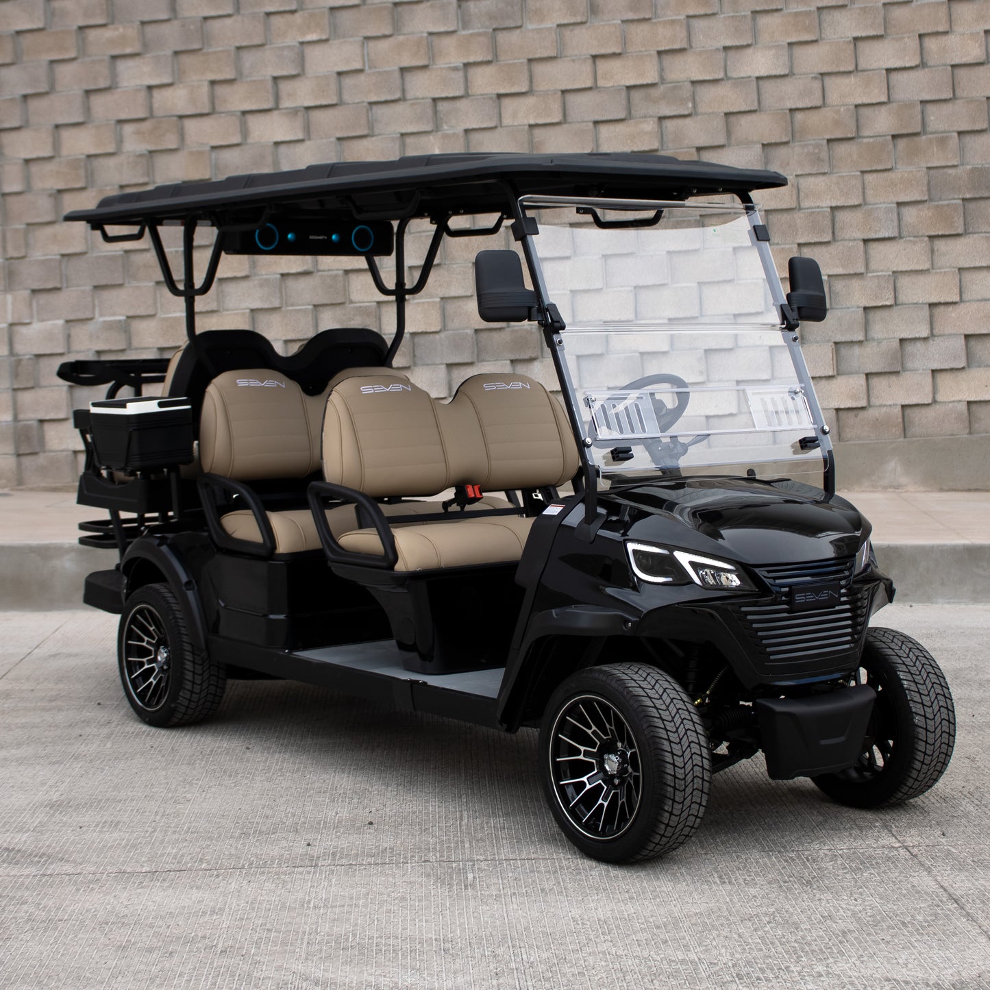 Modelo S, Carrito de Golf Elétrico de 2, 4 y 6 plazas