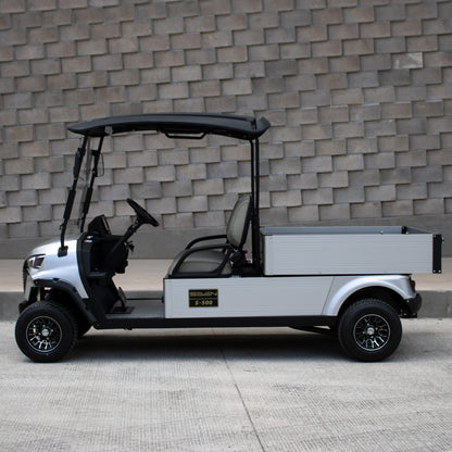 Modelo C - Carrito de Golf Eléctrico 2 Plazas de Carga