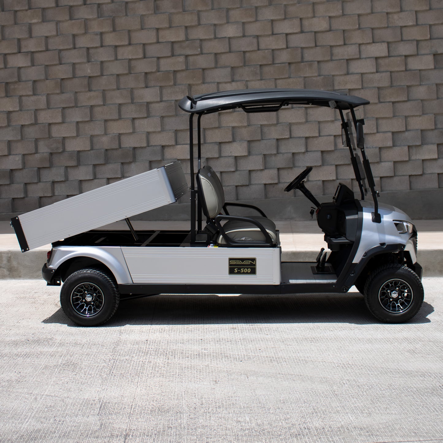 Modelo C - Carrito de Golf Eléctrico 2 Plazas de Carga