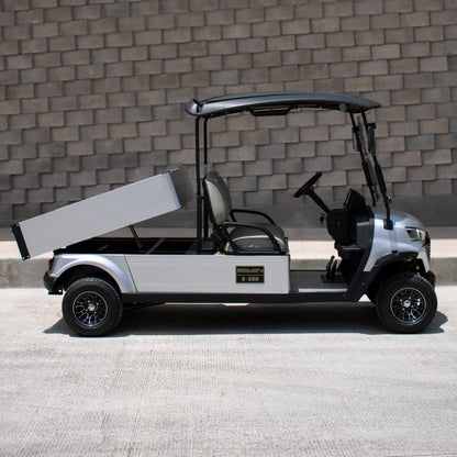 Modelo C - Carrito de Golf Eléctrico 2 Plazas de Carga