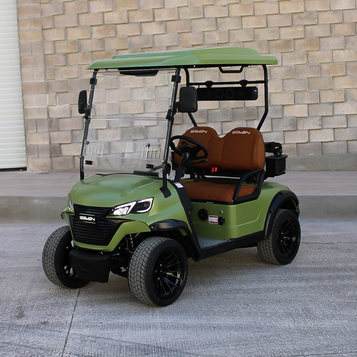 Modelo S, Carrito de Golf Elétrico de 2, 4 y 6 plazas