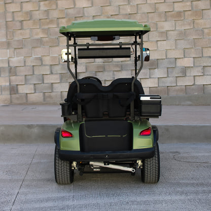 Modelo S, Carrito de Golf Elétrico de 2, 4 y 6 plazas