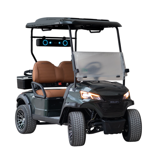 Modelo S - Carrito de Golf Eléctrico de 2, 4 y 6 Plazas